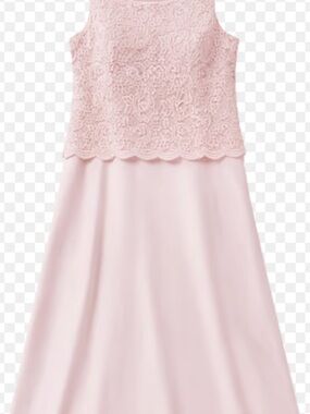 Alex Evenings Sleeveless Pink Lace Bodice Formal Dress